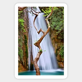 The dancing tree in Neda canyon Sticker